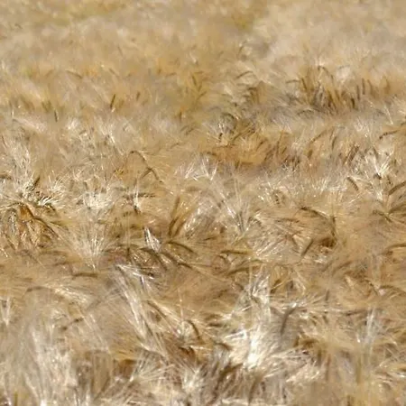 Casa Francesconi * Pietra Rossa