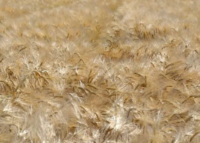 Casa Francesconi * Pietra Rossa